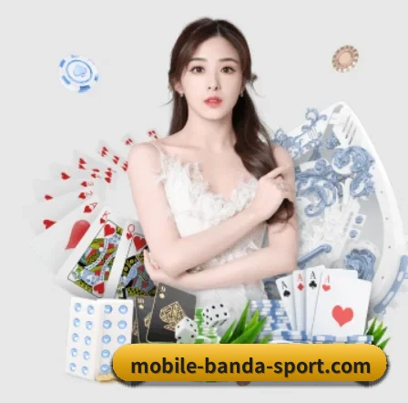 半岛综合 APP 界面